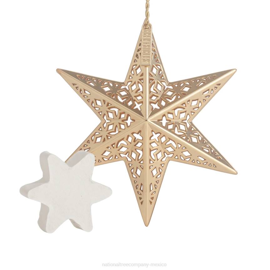 Scentsicles Decorative Ornament, Metal Gold Star, White Winter Fir with Refill National Tree CompanyLBRH545