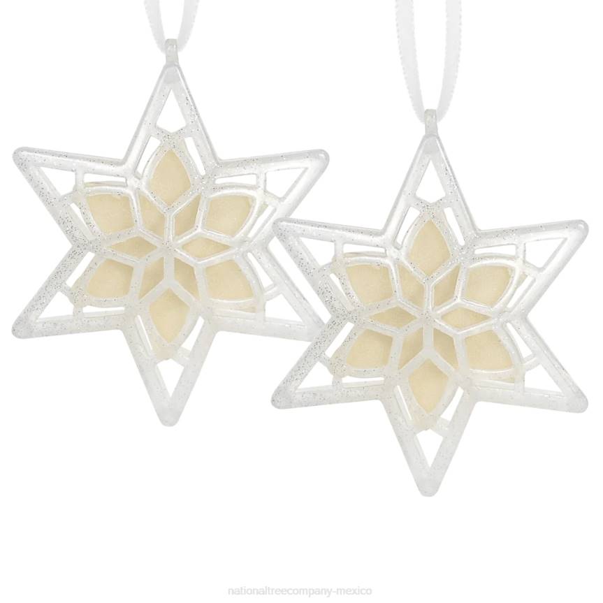 Scentsicles, Scented Star Ornament, White Winter Fir, 2-Pack National Tree CompanyLBRH543