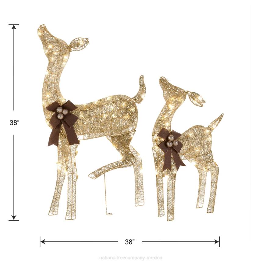 38 in. and 28 in. Pre-Lit Fawn with Doe Decoration National Tree CompanyLBRH590
