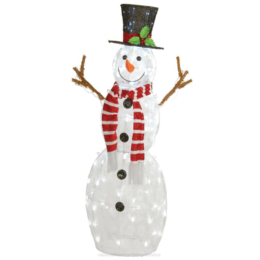 48 in. Pre-Lit Snowman Decoration National Tree CompanyLBRH597