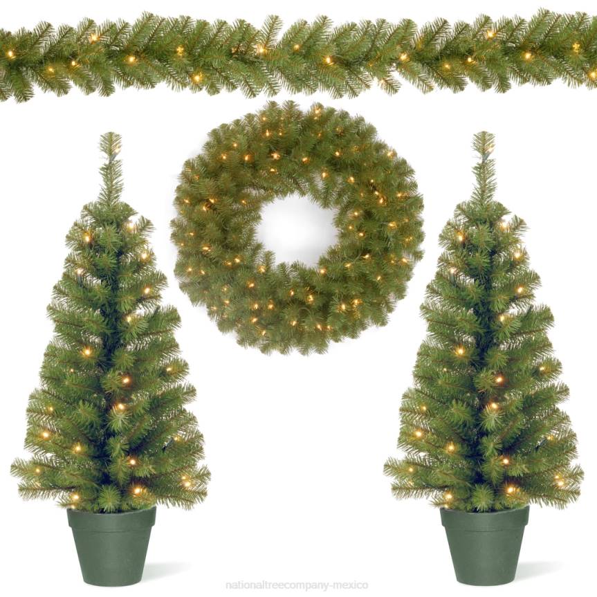 Evergreen Assortment with Battery Operated LED Lights National Tree CompanyLBRH512