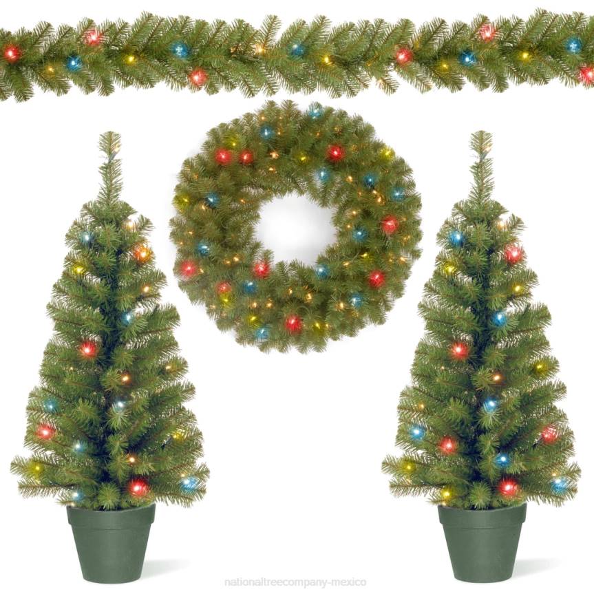 Promotional Assortment with Battery Operated LED Lights National Tree CompanyLBRH513