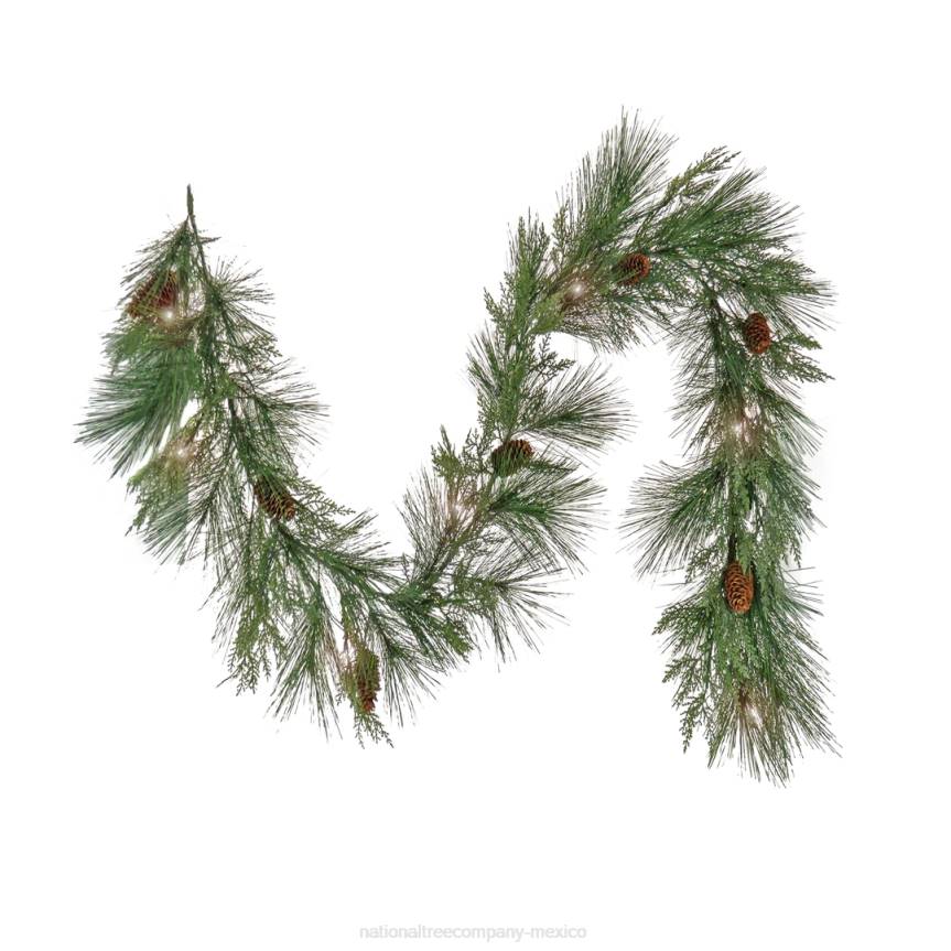 6 ft. HGTV Home Collection Pre-Lit Black Tie Cedar Garland National Tree CompanyLBRH345