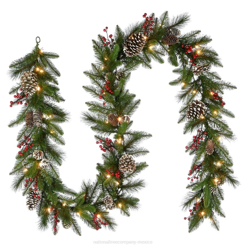 Pre-Lit Artificial Christmas Garland, Green, Snowy Green, White Lights, Decorated With Pine Cones, Berry Clusters, Plug In, Christmas Collection, 6 Feet National Tree CompanyLBRH355