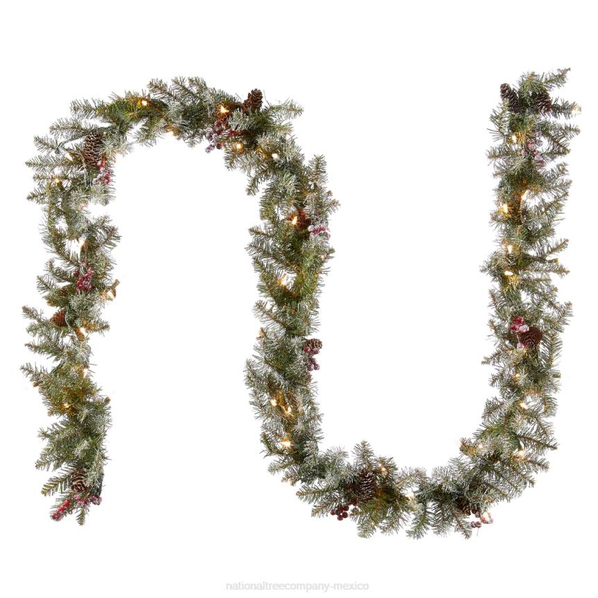 9 ft. Dunhill(R) Fir Garland with Clear Lights National Tree CompanyLBRH346