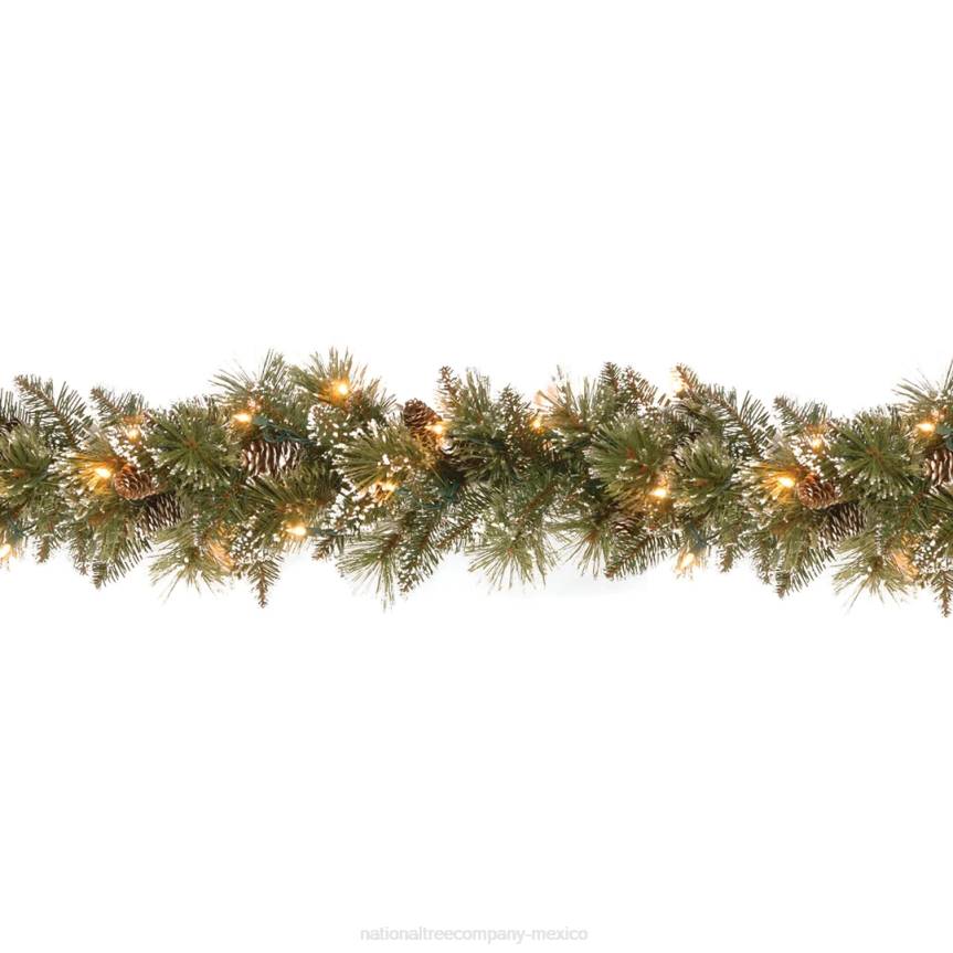 9 ft. Glittery Bristle Pine Garland with Clear Lights National Tree CompanyLBRH333