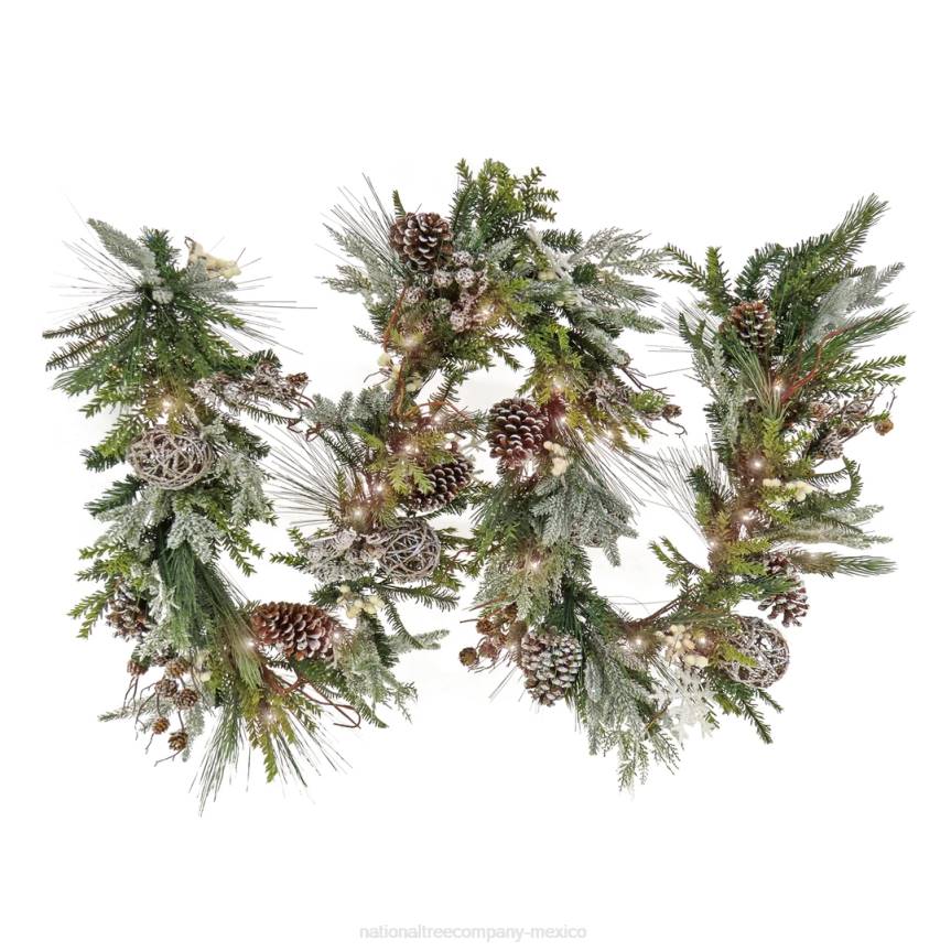 9 ft. HGTV Home Collection Pre-Lit Cozy Winter Garland National Tree CompanyLBRH374