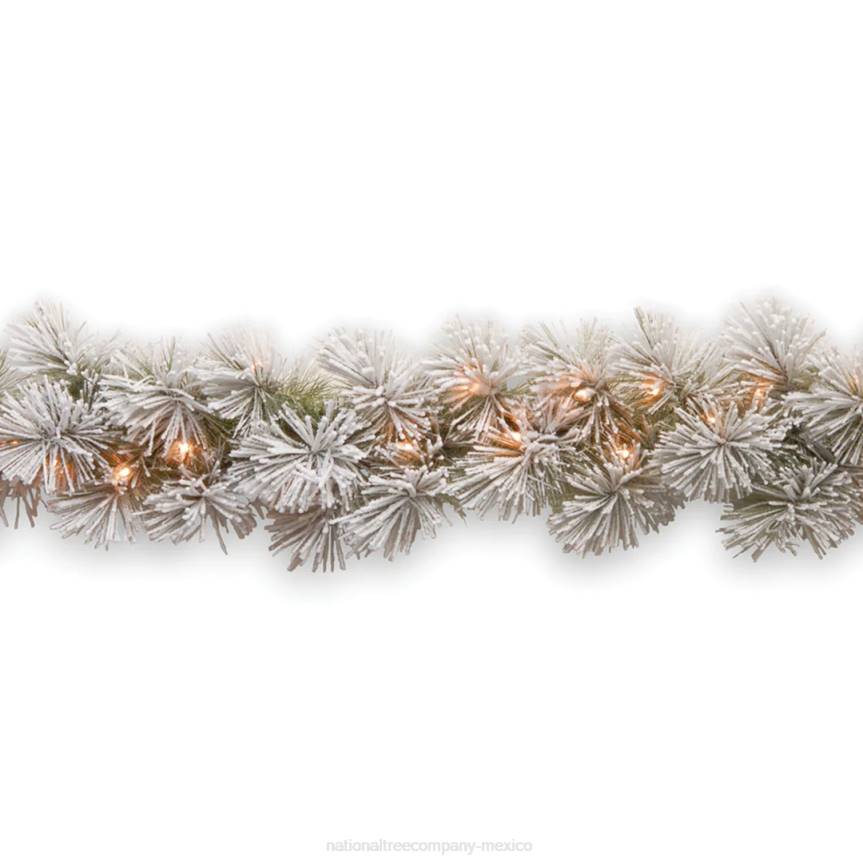 Pre-Lit Artificial Christmas Garland, Green, Glittery Bristle Pine, White Lights, Decorated With Frosted Branches, Plug In, Christmas Collection, 9 Feet National Tree CompanyLBRH361
