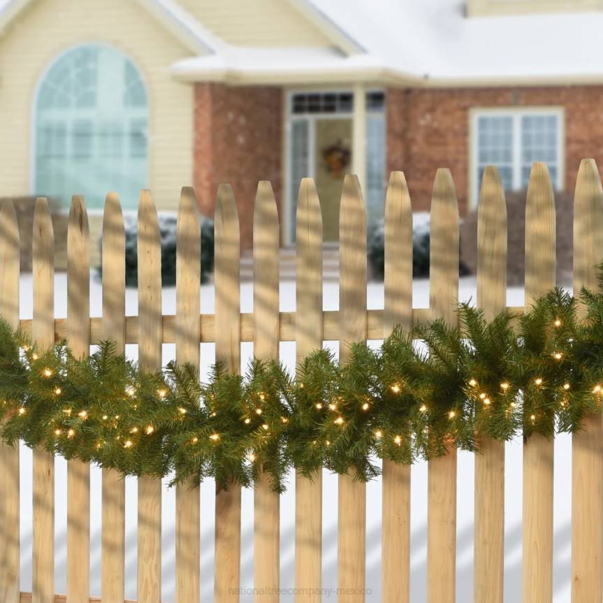 Pre-Lit Artificial Christmas Garland, Green, Norwood Fir, White Lights, Plug In, Christmas Collection, 9 Feet National Tree CompanyLBRH342