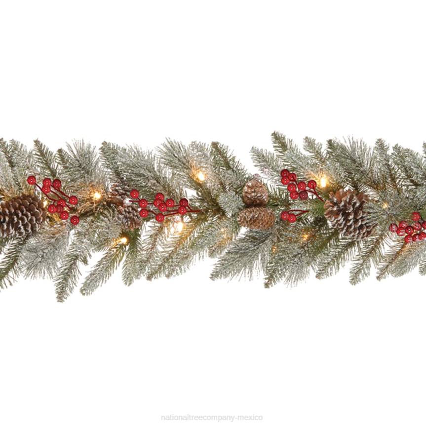 Pre-Lit Artificial Christmas Garland, Green, Snowy Bristle Berry, White Lights, Decorated With Pine Cones, Berry Clusters, Plug In, Christmas Collection, 9 Feet National Tree CompanyLBRH405