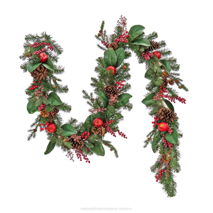 Pre Lit Artificial Garland, Rural Homestead, Green, Decorated with Apples, Red Berry Clusters, Pine Cones, Warm White LED Lights, Battery Powered, Christmas Collection, 9 Feet National Tree CompanyLBR