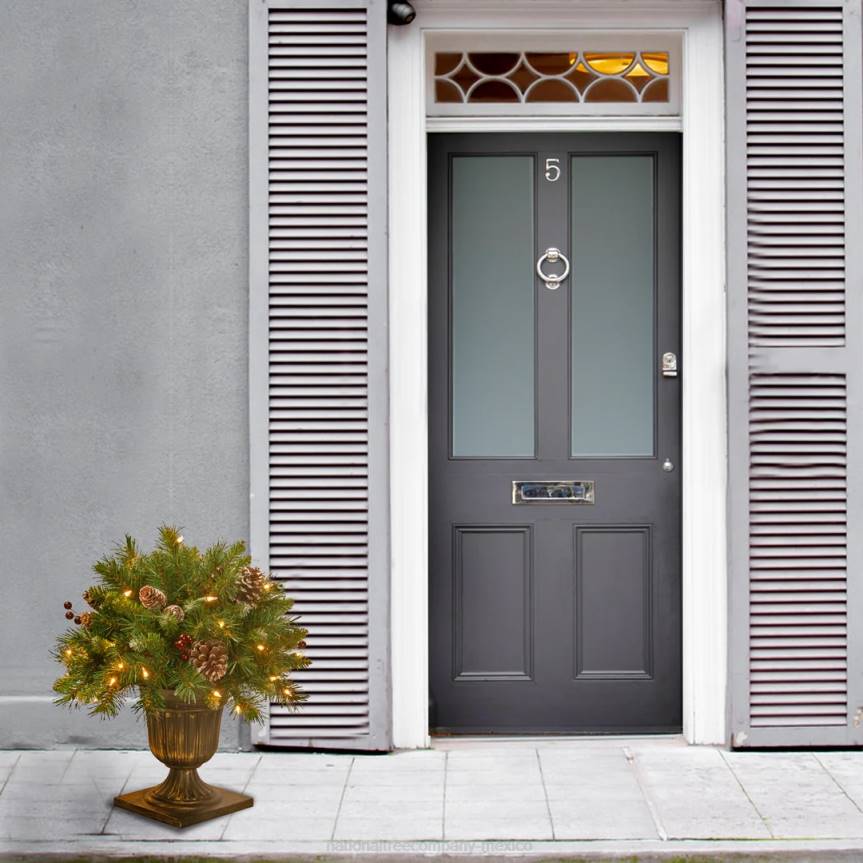 18in Frosted Berry Porch Bush with Clear Lights National Tree CompanyLBRH468