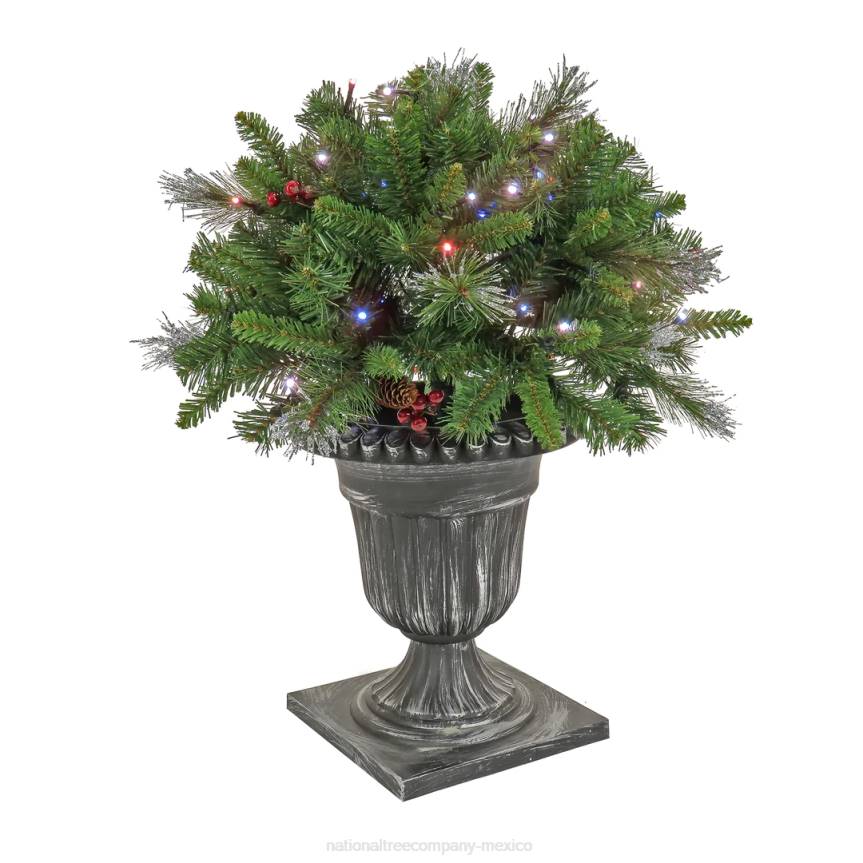 24in Crestwood Spruce Porch Bush with Twinkly LED Lights National Tree CompanyLBRH506