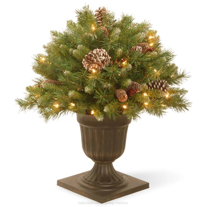 24in Frosted Berry Porch Bush with Clear Lights National Tree CompanyLBRH475
