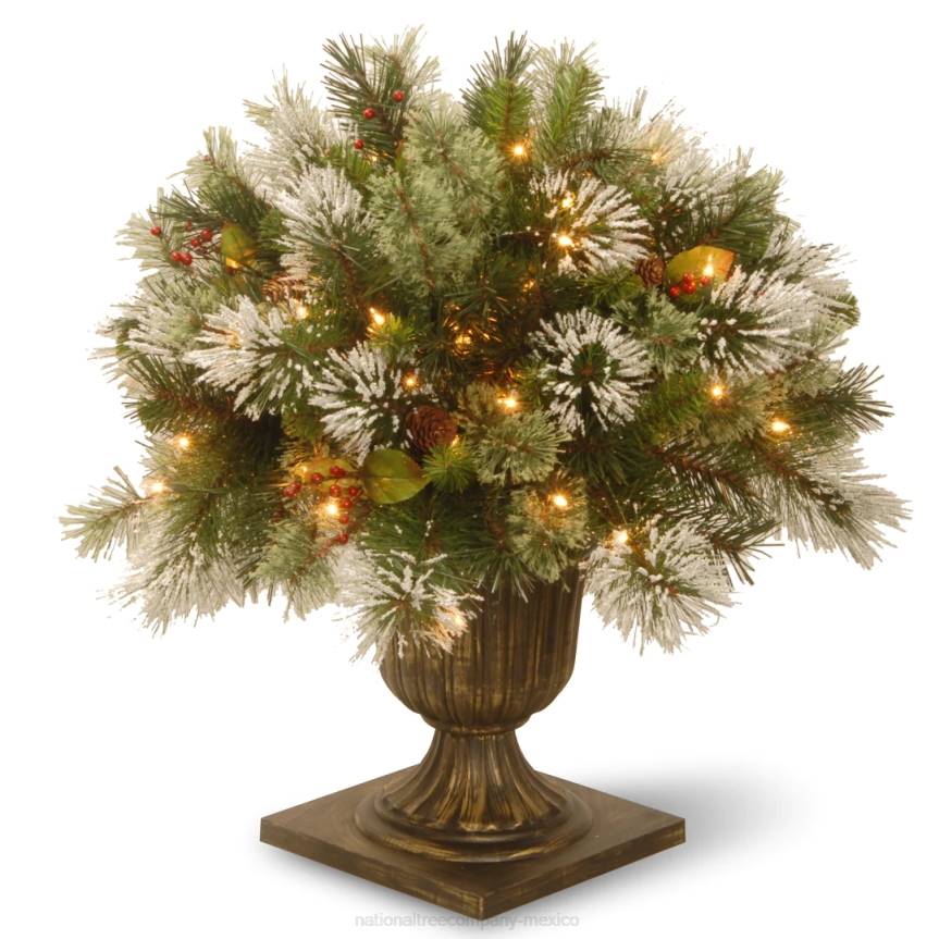24in Wintry Pine(R) Porch Bush with Clear Lights National Tree CompanyLBRH493