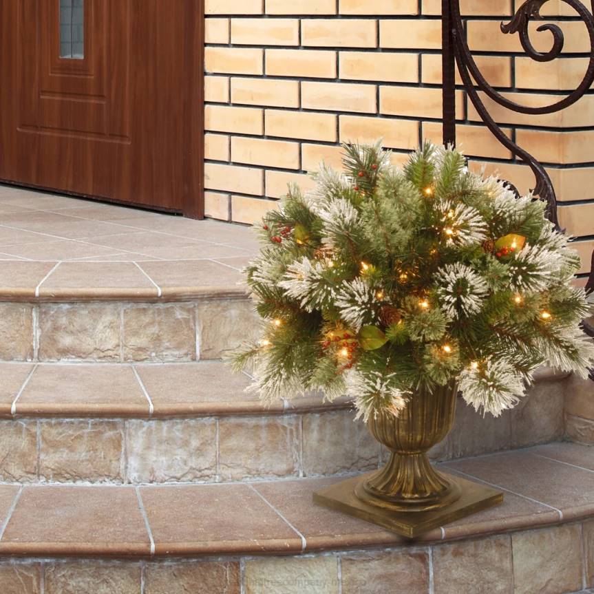 24in Wintry Pine(R) Porch Bush with Clear Lights National Tree CompanyLBRH493