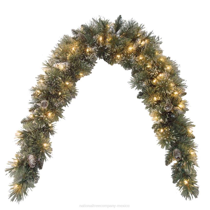 6 ft. Glittery Bristle(R) Pine Mantel Swag with Clear Lights National Tree CompanyLBRH462