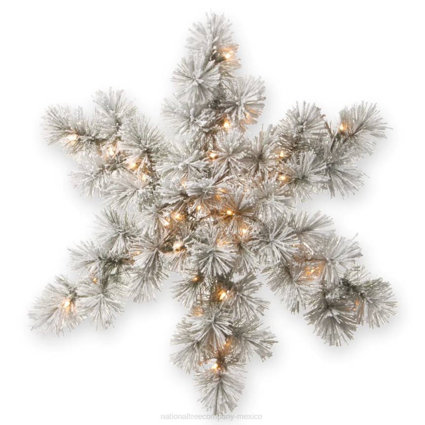 Pre-Lit Artificial Christmas Hanging Snowflake, Green, Snowy Bristle Pine, Decorated with Frosted Branches, Christmas Collection, 32 Inches National Tree CompanyLBRH478