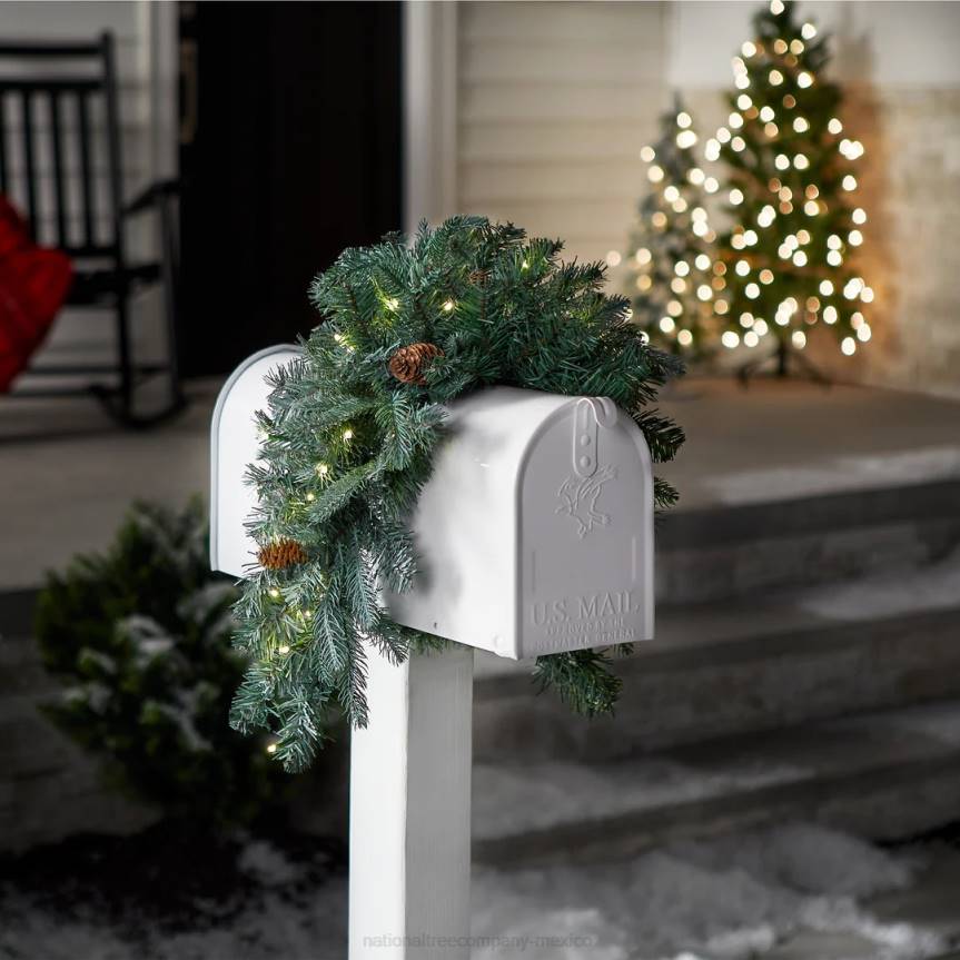 Pre-Lit Artificial Mailbox Swag Decoration, Green, Arctic Spruce, LED Lights, Decorated with Pine Cones, Christmas Collection, 3 Feet National Tree CompanyLBRH446