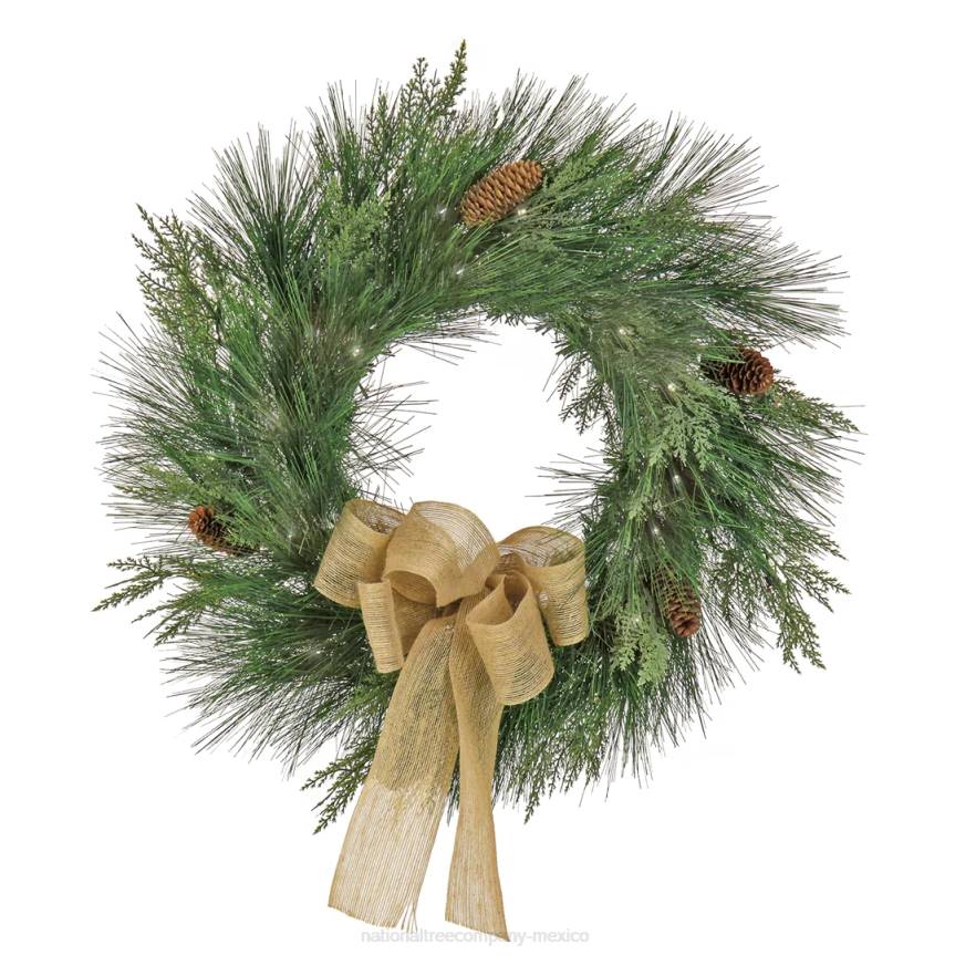22in HGTV Home Collection Pre-Lit Black Tie Cedar Wreath National Tree CompanyLBRH261