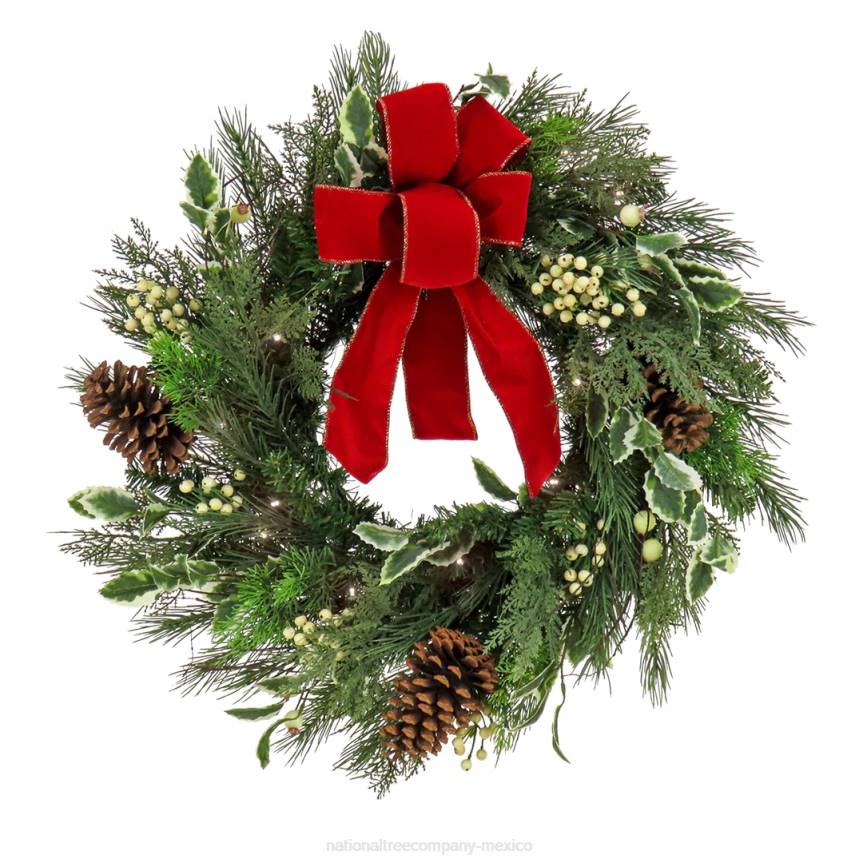 22in HGTV Home Collection Pre-Lit Holly and Berry Wreath National Tree CompanyLBRH248