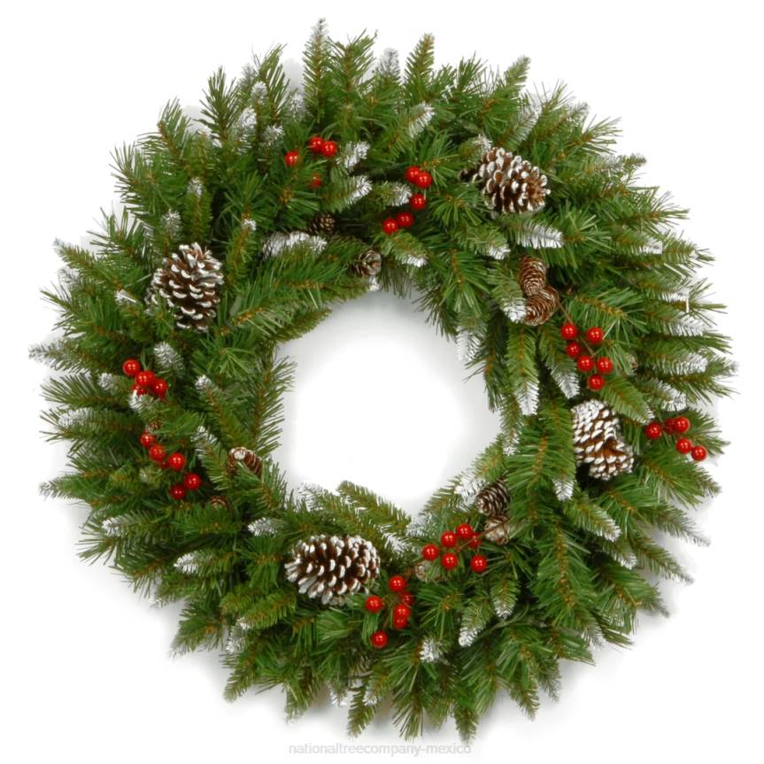 24in. Frosted Berry Wreath National Tree CompanyLBRH268