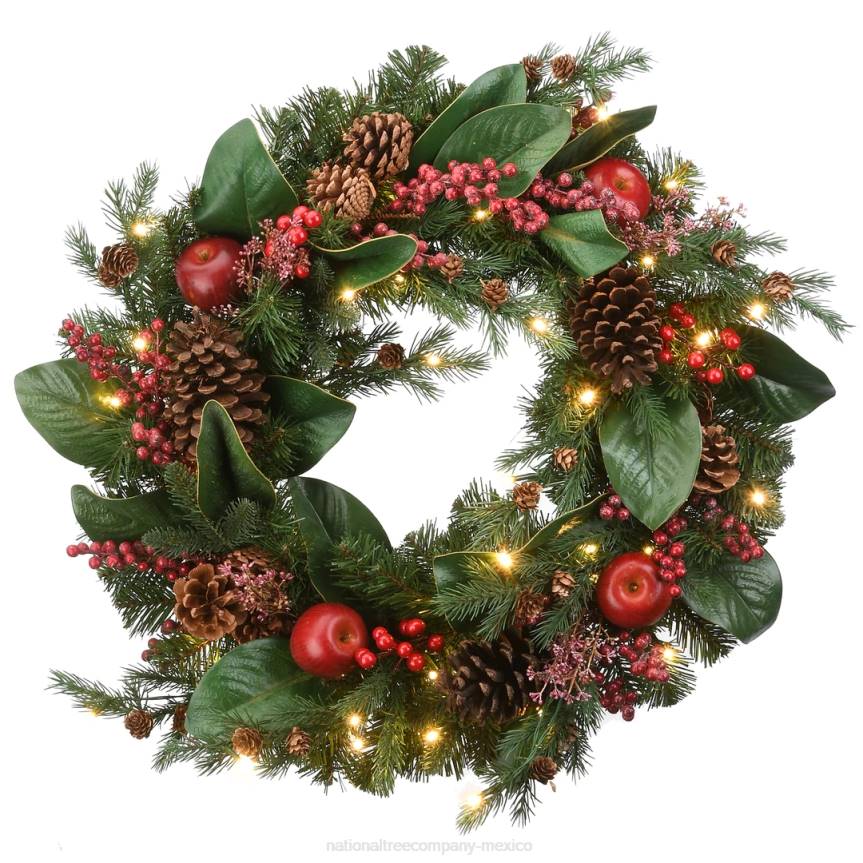24in Rural Homestead Wreath with LED Lights National Tree CompanyLBRH241