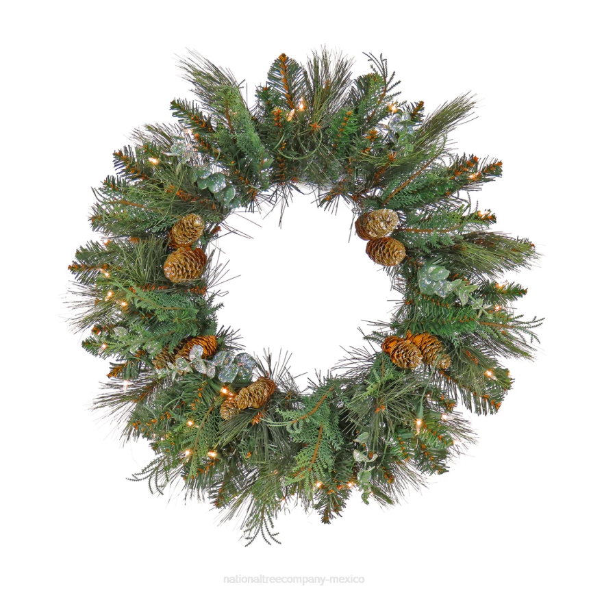 First Traditions Collection, 24in Pre-Lit Artificial North Conway Wreath with Glittery Cones and Eucalyptus National Tree CompanyLBRH266