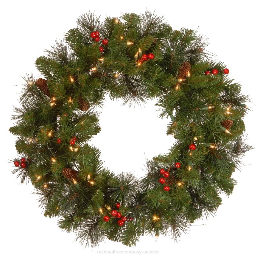 Pre-Lit Artificial Christmas Wreath, Crestwood Spruce with Twinkly LED Lights, Plug in, 24 in National Tree CompanyLBRH316