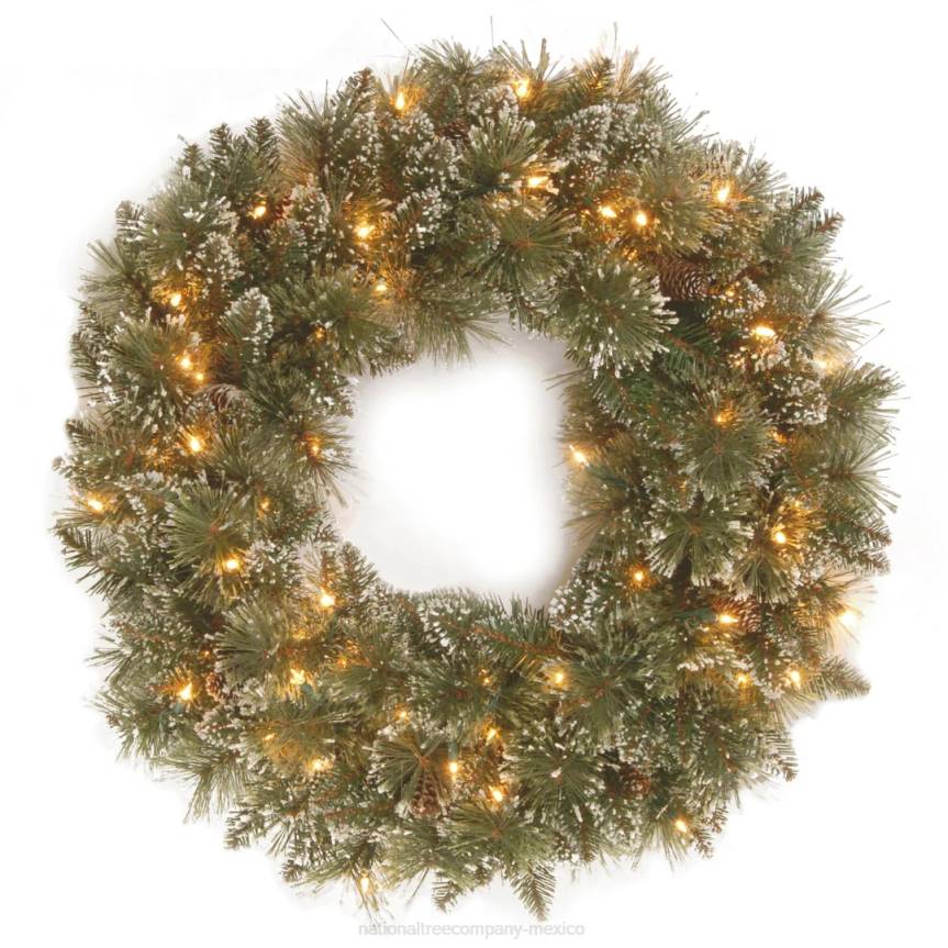 Pre-Lit Artificial Christmas Wreath, Glittery Bristle Pine with Twinkly LED Lights, Plug in, 24 in National Tree CompanyLBRH310