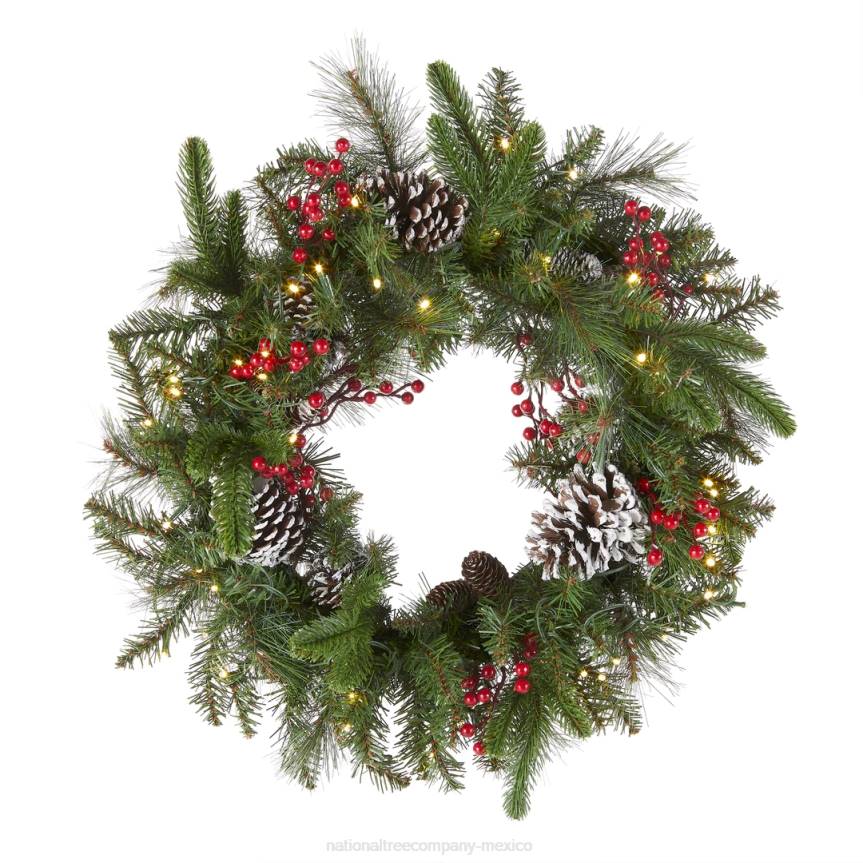 Pre-Lit Artificial Christmas Wreath, Green, Bristle Berry Pine, White Lights, Decorated with Frosted Branches, Pine Cones, Berry Clusters, Christmas Collection, 24 Inches National Tree CompanyLBRH221