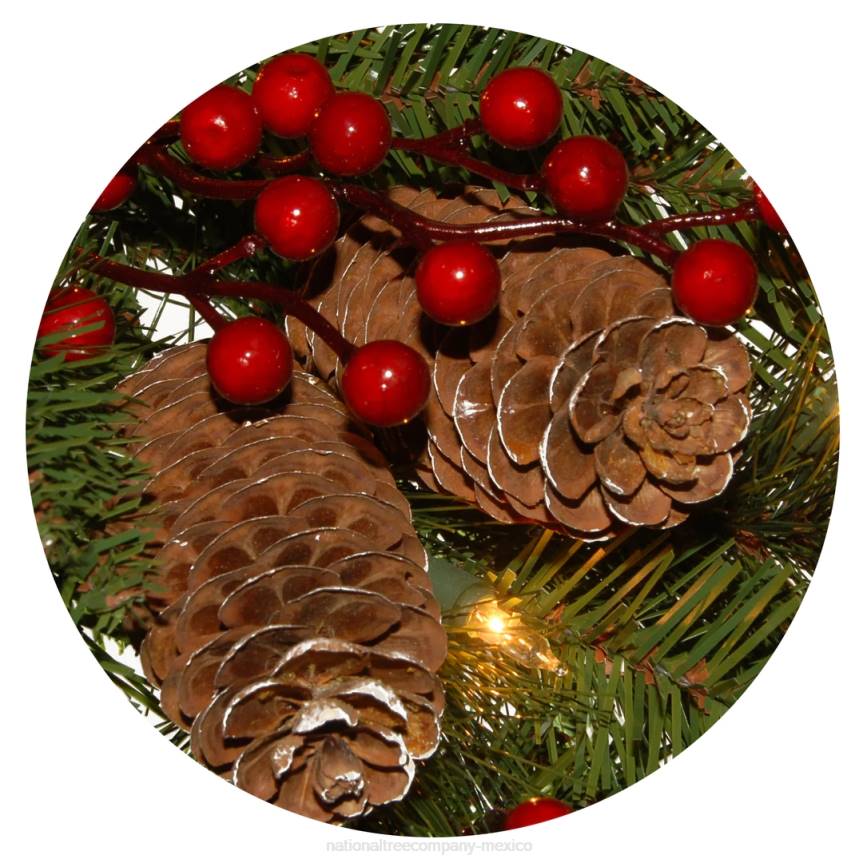 Pre-Lit Artificial Christmas Wreath, Green, Bristle Berry Pine, White Lights, Decorated with Frosted Branches, Pine Cones, Berry Clusters, Christmas Collection, 24 Inches National Tree CompanyLBRH221