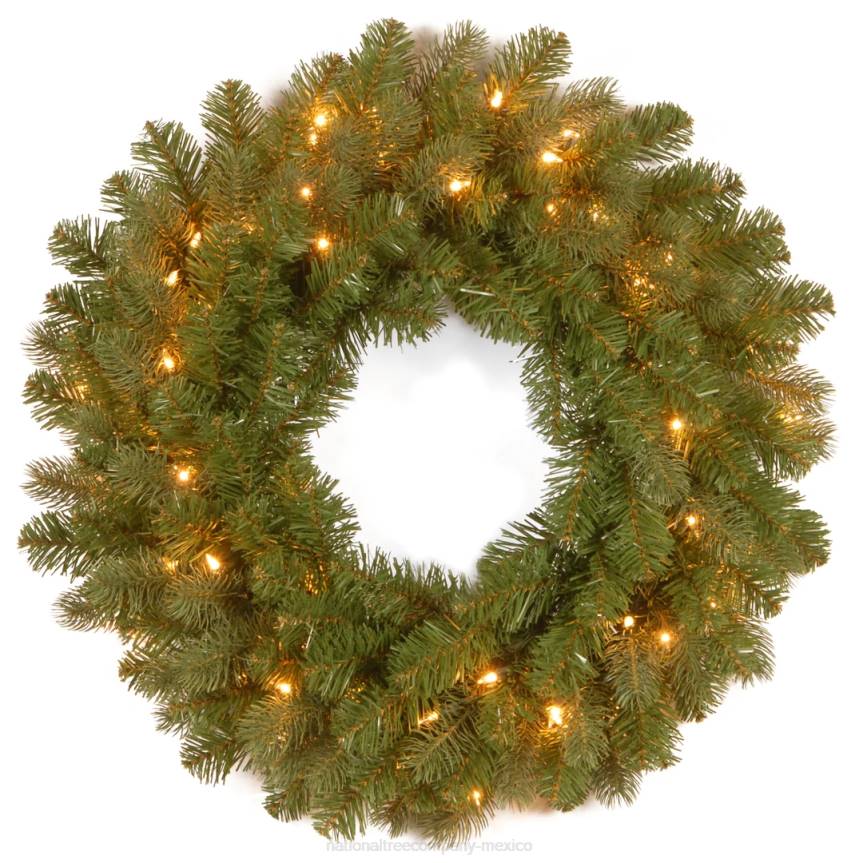 Pre-Lit Artificial Christmas Wreath, Green, Downswept Douglas Fir, White Lights, Christmas Collection, 24 Inches National Tree CompanyLBRH256