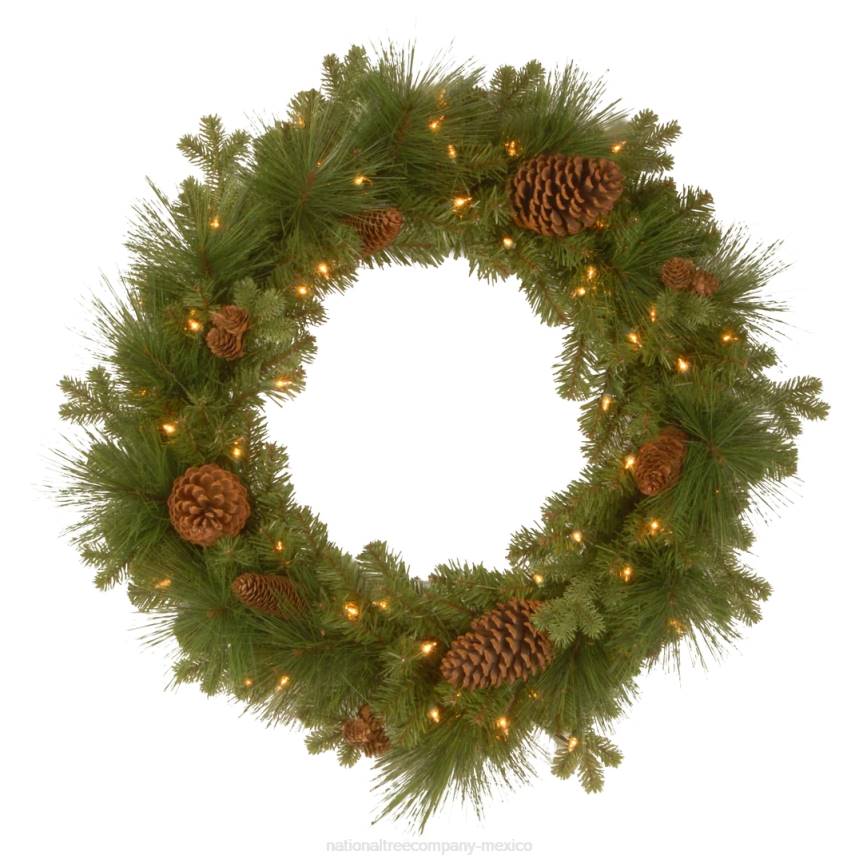 Pre-Lit Artificial Christmas Wreath, Green, Eastwood Spruce, White Lights, Decorated with Pine Cones, Christmas Collection, 24 Inches National Tree CompanyLBRH263