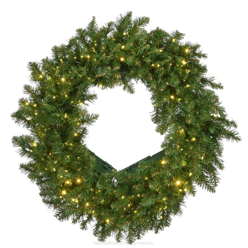 Pre-Lit Artificial Christmas Wreath, Green, Kingswood Fir, White Lights, Christmas Collection, 24 Inches National Tree CompanyLBRH284