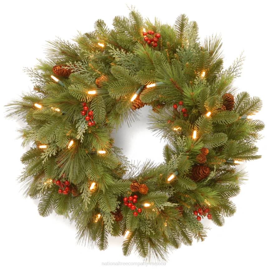 Pre-Lit Artificial Christmas Wreath, Green, Noelle, White Lights, Decorated with Pine Cones, Berry Clusters, Christmas Collection, 24 Inches National Tree CompanyLBRH254