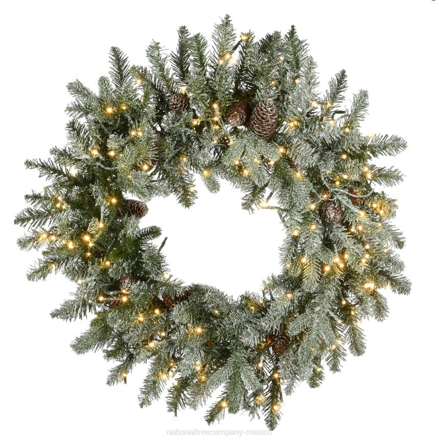 Pre-Lit Artificial Christmas Wreath, Green, Snowy Morgan Spruce, Dual Color LED Lights, Decorated with Pine Cones, Christmas Collection, 24 Inches National Tree CompanyLBRH282