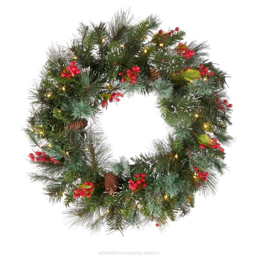 Pre-Lit Artificial Christmas Wreath, Green, Wintry Pine, White Lights, Decorated with Pine Cones, Berry Clusters, Frosted Branches, Christmas Collection, 24 Inches National Tree CompanyLBRH231