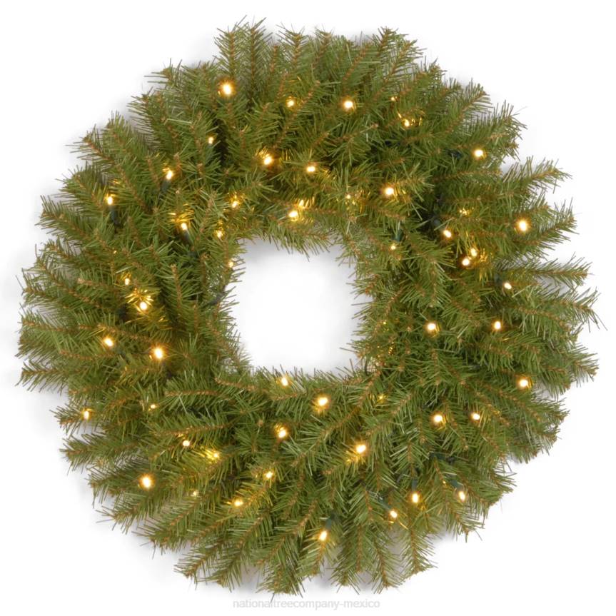 Pre-Lit Artificial Christmas Wreath, Norwood Fir with Twinkly LED Lights, Plug in, 24 in National Tree CompanyLBRH289