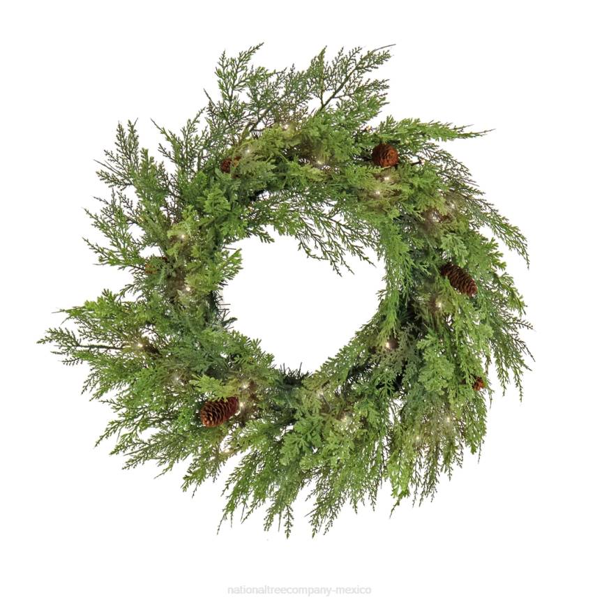 26in HGTV Home Collection Pre-Lit Cozy Winter Cedar Wreath National Tree CompanyLBRH232