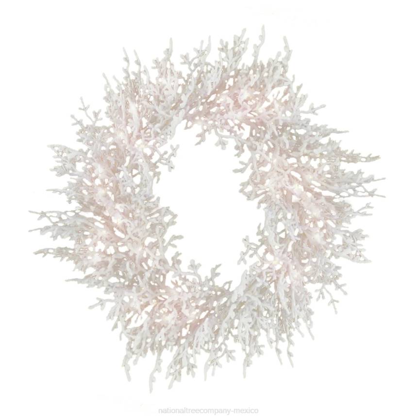 30in HGTV Home Collection Pre-Lit Christmas by the Sea Coral Wreath National Tree CompanyLBRH292