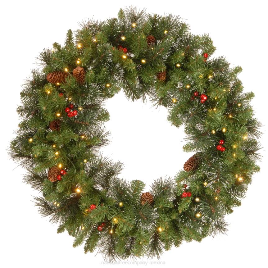 Pre-Lit Artificial Christmas Wreath, Crestwood Spruce with Twinkly LED Lights, Plug in, 30 in National Tree CompanyLBRH301