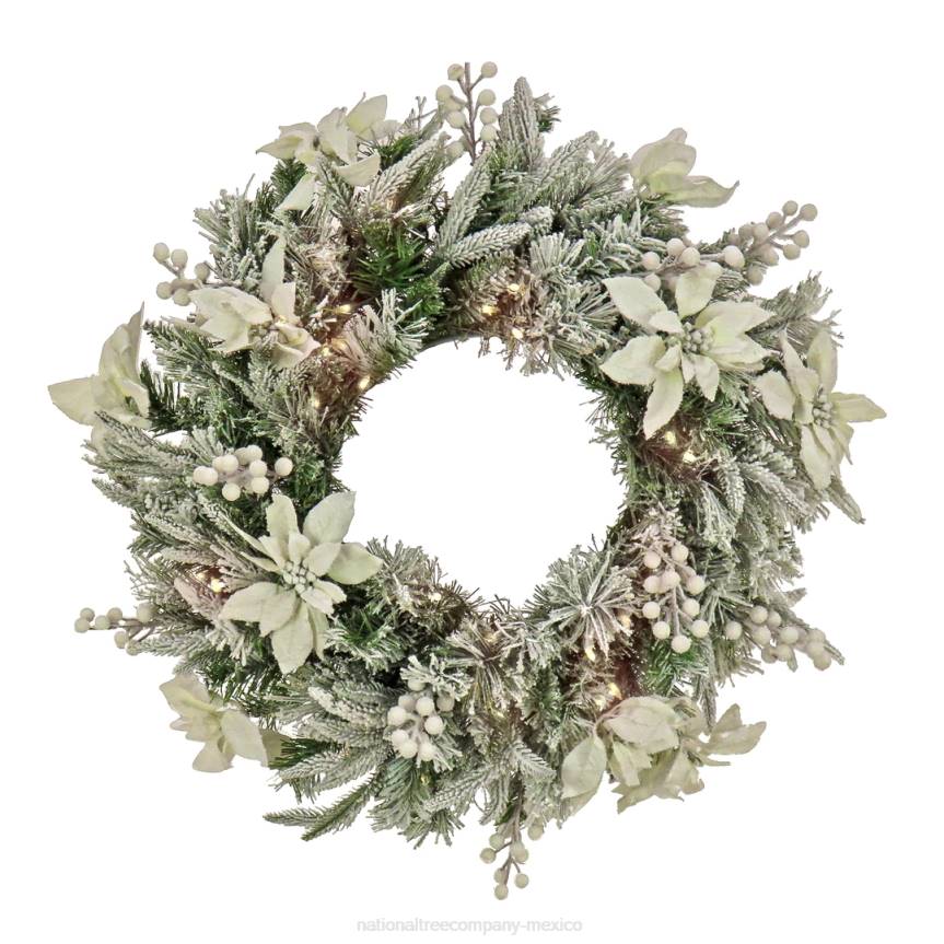 Pre-Lit Artificial Christmas Wreath, Frosted Colonial, White LED Lights, Battery Powered, 26 in National Tree CompanyLBRH270