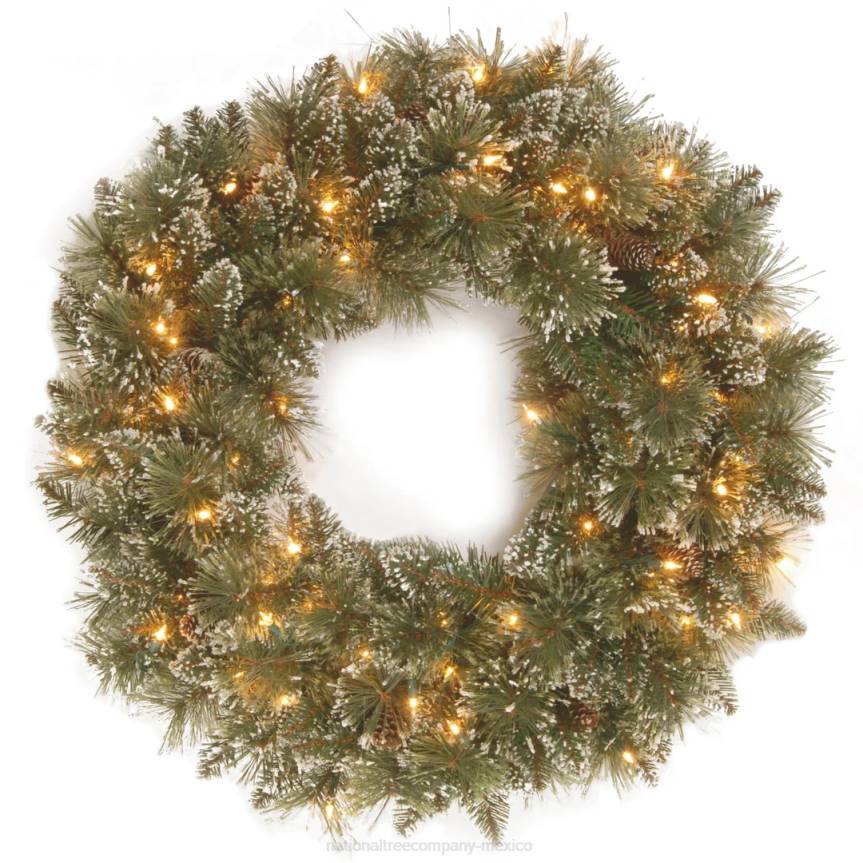 Pre-Lit Artificial Christmas Wreath, Glittery Bristle Pine with Twinkly LED Lights, Plug in, 30 in National Tree CompanyLBRH280