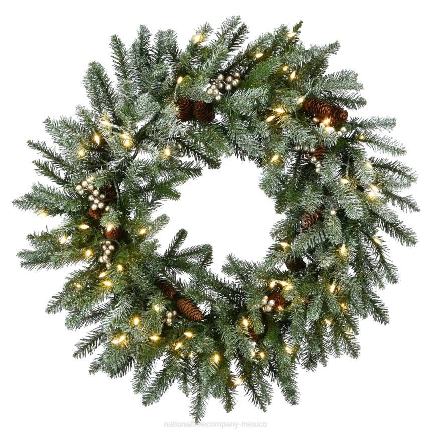 Pre-Lit Artificial Christmas Wreath, Green, Snowy Morgan Spruce, White Lights, Decorated with Pine Cones and Frosted Branches, Christmas Collection, 30 Inches National Tree CompanyLBRH296