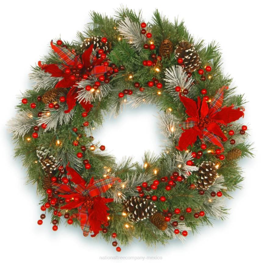 Pre-Lit Artificial Christmas Wreath, Green, Tartan Plaid, White Lights, Decorated with Frosted Branches, Pine Cones, Berry Clusters, Flowers, Christmas Collection, 30 Inches National Tree CompanyLBRH3