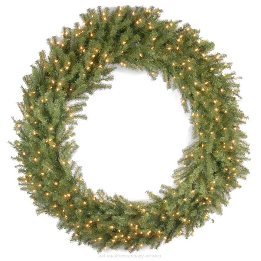 Pre-Lit Artificial Christmas Wreath, Green, Norwood Fir, White Lights, Christmas Collection, 60 Inches National Tree CompanyLBRH229