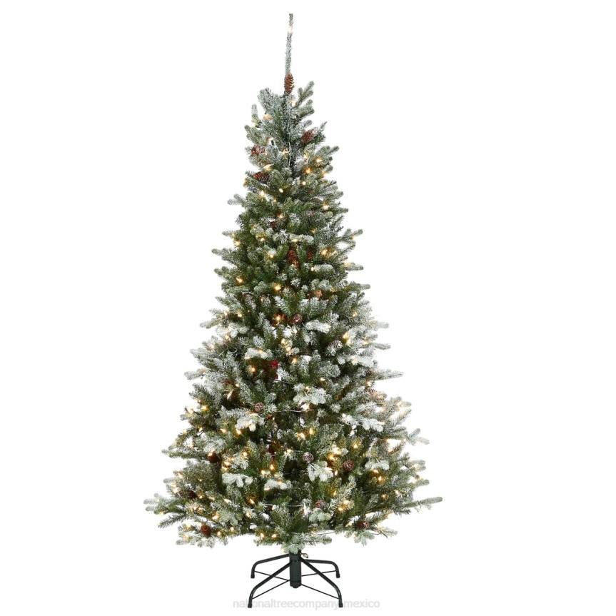 6.5 ft Snowy Morgan Spruce Slim Tree with Clear Lights National Tree CompanyLBRH72