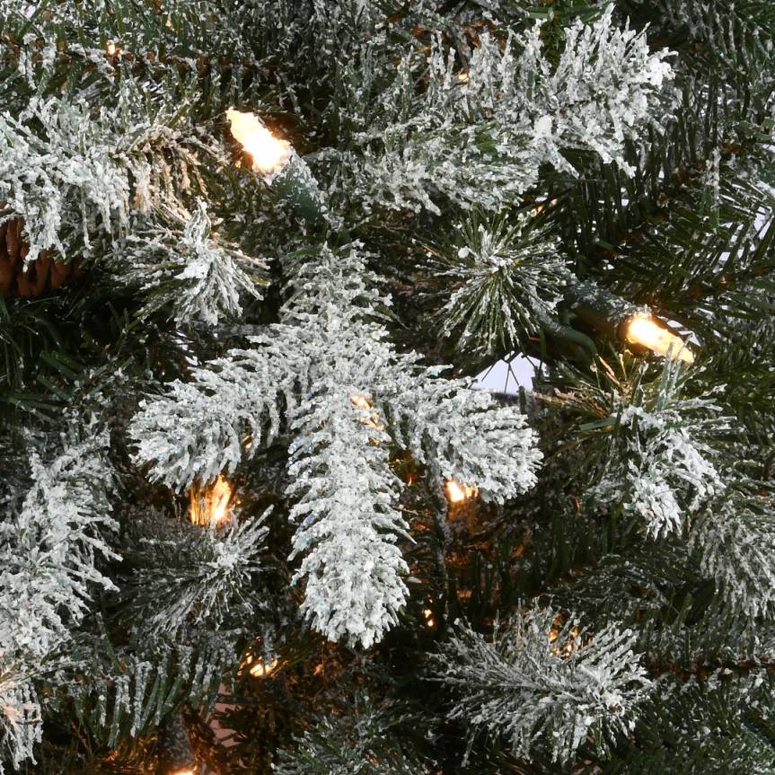 6.5 ft Snowy Morgan Spruce Slim Tree with Clear Lights National Tree CompanyLBRH72
