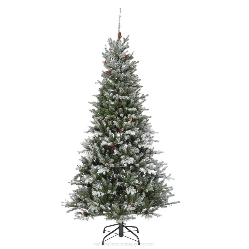 6.5 ft Snowy Morgan Spruce Slim Tree with Clear Lights National Tree CompanyLBRH72